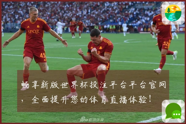 畅享新版世界杯投注平台平台官网，全面提升您的体育直播体验！