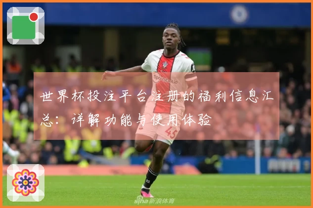 世界杯投注平台注册的福利信息汇总：详解功能与使用体验