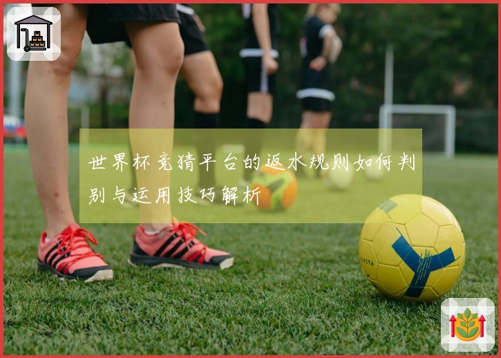 世界杯竞猜平台的返水规则如何判别与运用技巧解析