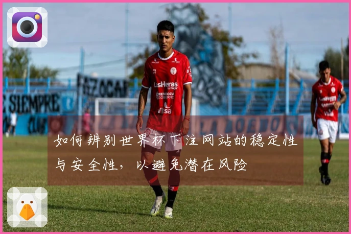 如何辨别世界杯下注网站的稳定性与安全性，以避免潜在风险