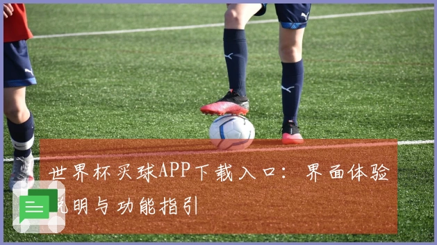 世界杯买球APP下载入口：界面体验说明与功能指引