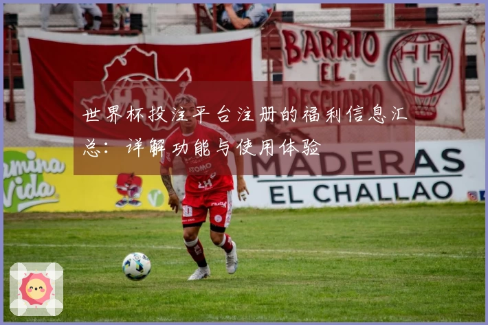 世界杯投注平台注册的福利信息汇总：详解功能与使用体验