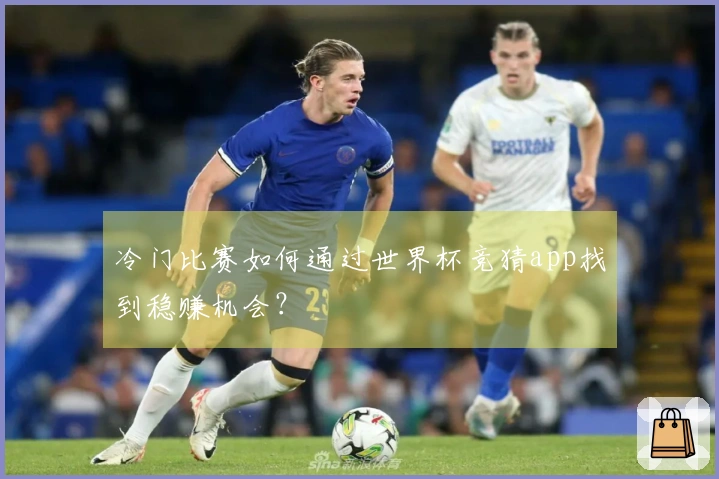 冷门比赛如何通过世界杯竞猜app找到稳赚机会？