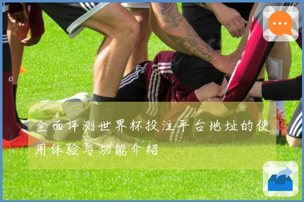 全面评测世界杯投注平台地址的使用体验与功能介绍