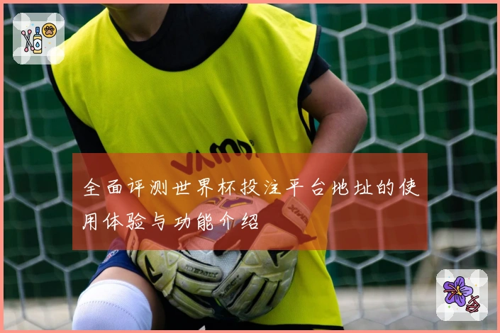全面评测世界杯投注平台地址的使用体验与功能介绍