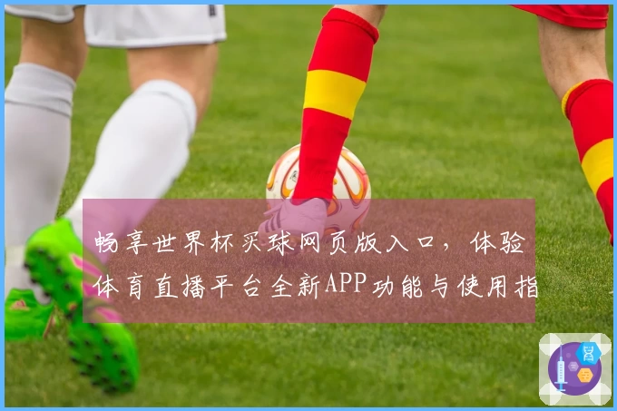 畅享世界杯买球网页版入口，体验体育直播平台全新APP功能与使用指南