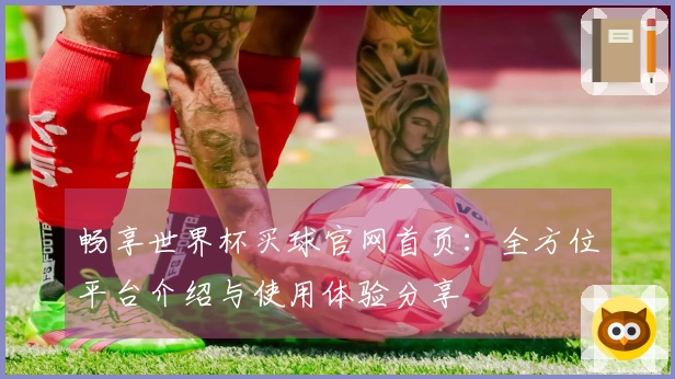 畅享世界杯买球官网首页：全方位平台介绍与使用体验分享